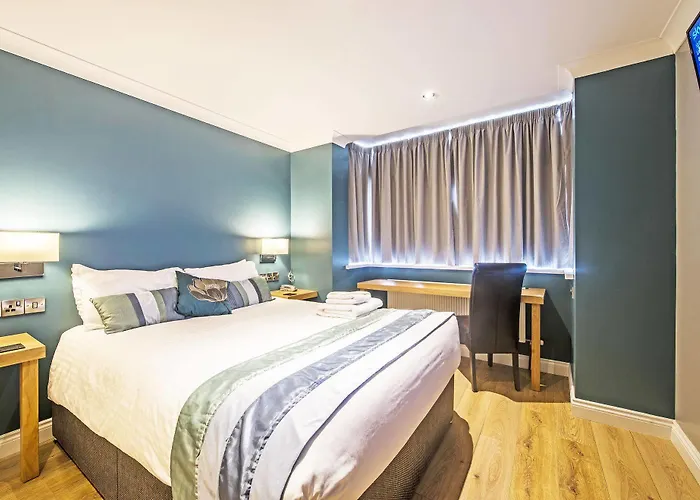 Dolphin Rooms